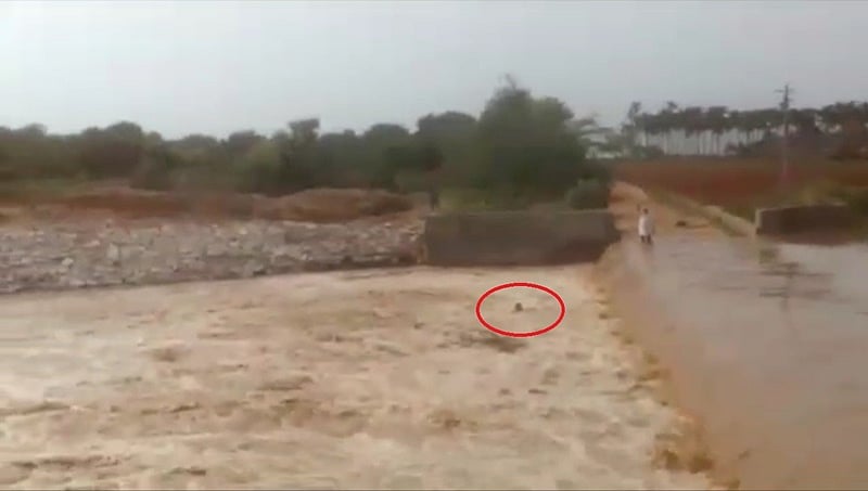 ಚೆನ್ನಗಿರಿ: ಹಿರೇಹಳ್ಳದ ಪ್ರವಾಹಕ್ಕೆ ಸಿಲುಕಿ ಕೊಚ್ಚಿ ಹೋದ ರೈತ
